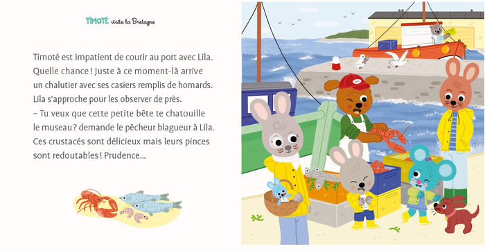 Timoté visite la Bretagne