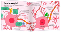 Explore ton cerveau