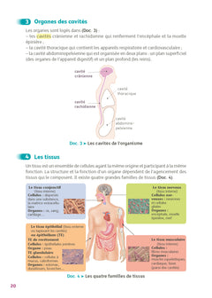 Guide bac ST2S - Spécialité Chimie, Biologie et Physiopathologie humaines 1re/ Tle - Réflexe - N° 7