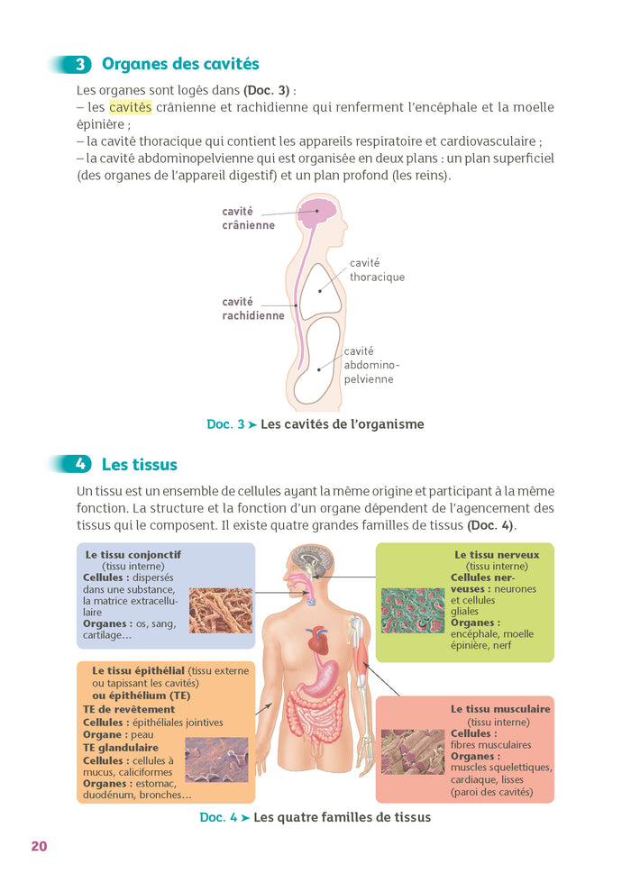 Guide bac ST2S - Spécialité Chimie, Biologie et Physiopathologie humaines 1re/ Tle - Réflexe - N° 7