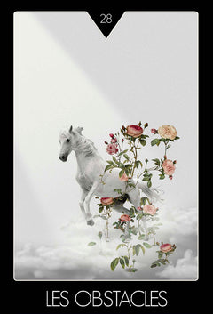 Coffret Réalise ton aspiration - Des clés pour y parvenir