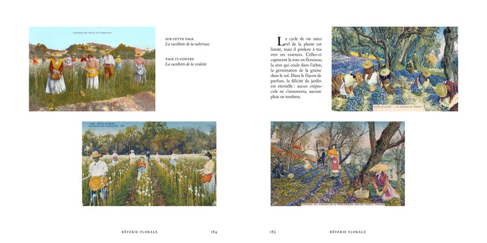 Voyage dans le monde du parfum - Le musée des senteurs