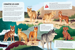 Les Loups ont-ils peur du noir ?