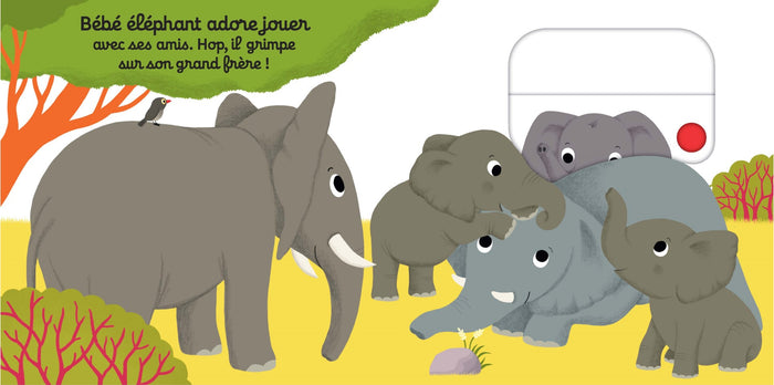 On s'amuse, petit éléphant ?