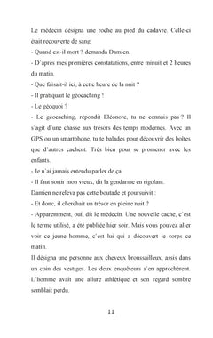 Géocrimes