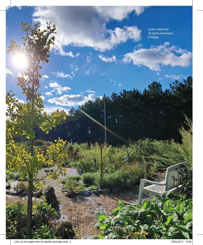 Je me soigne avec les plantes sauvages