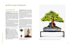 L'art du bonsaï - Guide pratique et philosophique