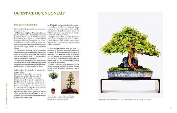 L'art du bonsaï - Guide pratique et philosophique