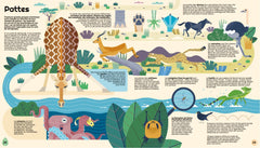 Biodiversité - L'évolution des espèces illustrée