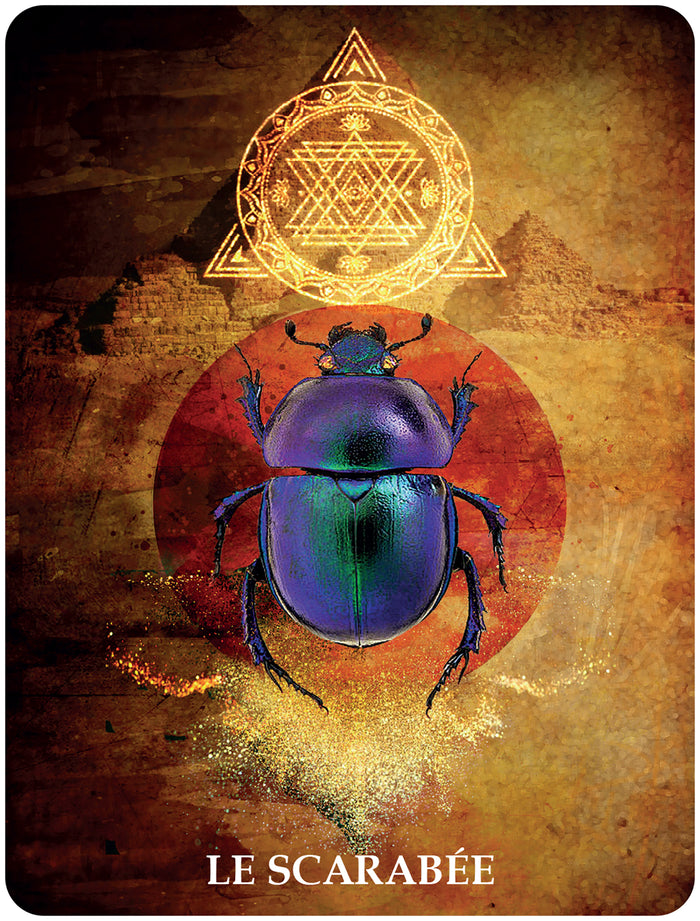 60 cartes de communication animale