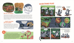 Incroyables métamorphoses