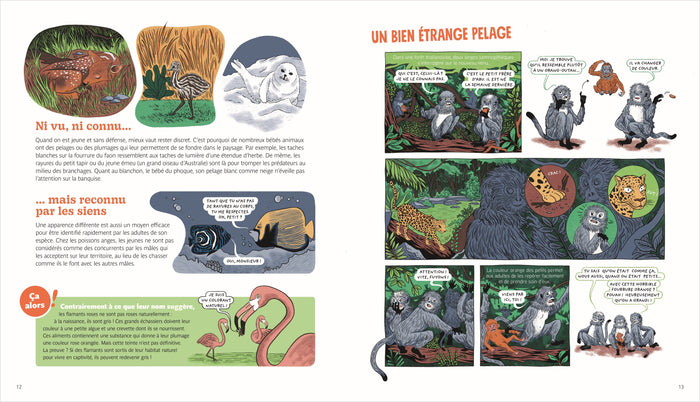 Incroyables métamorphoses