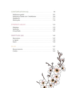 Mon cahier Reiki - 24 activités énergétiques