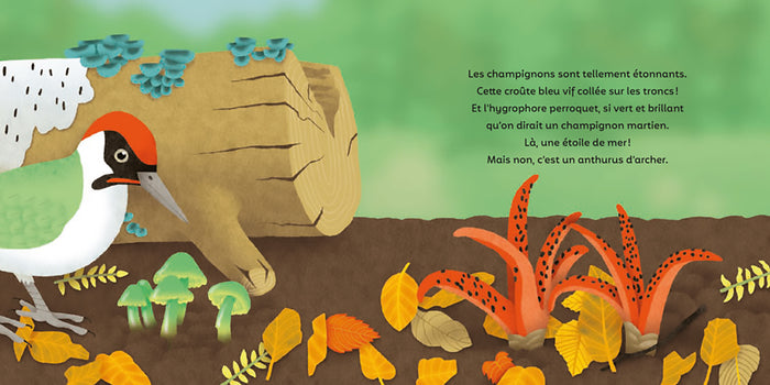 Les P'tits champignons