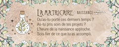 Le petit oracle du druide