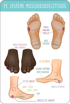 Je pratique la réflexologie plantaire
