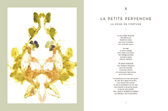 Le tarot des plantes sauvages
