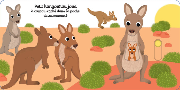 Coucou, petit kangourou !