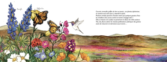 Dessine-moi un désert !