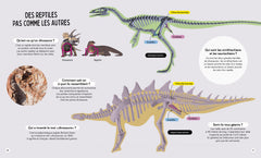 Questions Réponses : Tous les dinosaures