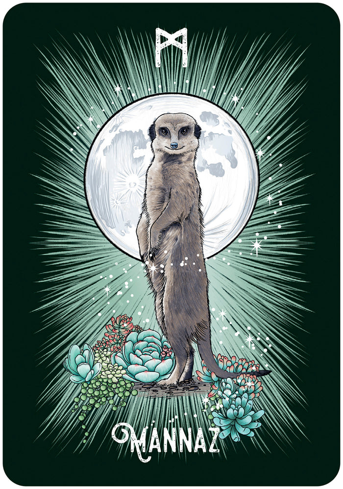 Coffret l'Oracle runique des animaux