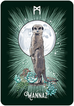 Coffret l'Oracle runique des animaux