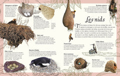 L'anthologie illustrée des oiseaux merveilleux
