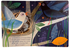 Petites et grandes découvertes - Petit oiseau prend son envol