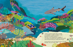 La grande barrière de corail