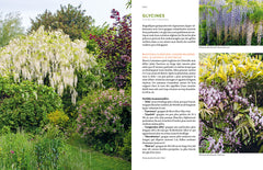 Toutes les plantes grimpantes