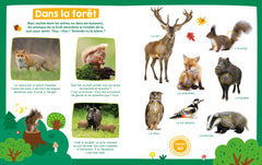 Mon imagier sonore - Les animaux