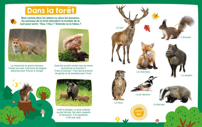 Mon imagier sonore - Les animaux