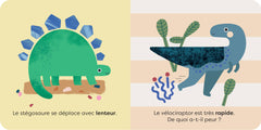 Les dinosaures - À la découverte des contraires