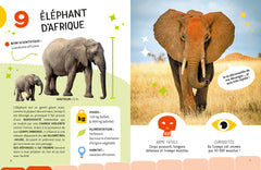 Le Top 10 des animaux les plus dangereux
