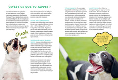 Mon premier chien