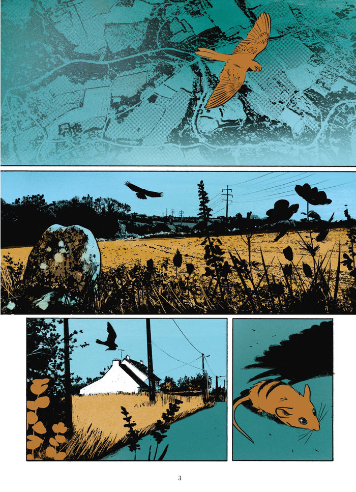 Les ambassadeurs - La révélation