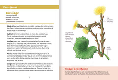 Les petits livres de la nature - Plantes comestibles