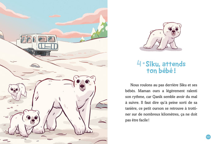 Mission animaux - Autour du monde