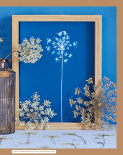 L'art du cyanotype