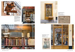 Paris L'invention des passages couverts