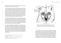 Le Chien, un loup rempli d'humanité