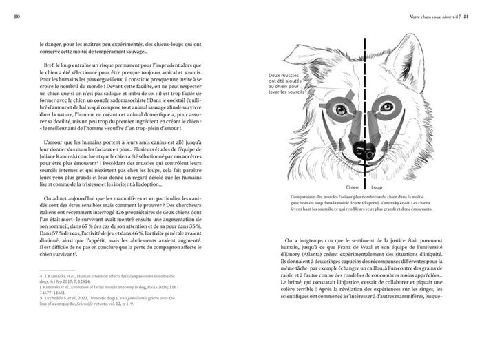 Le Chien, un loup rempli d'humanité