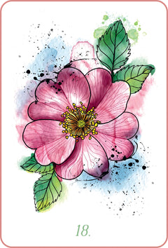 Mon oracle des fleurs de Bach