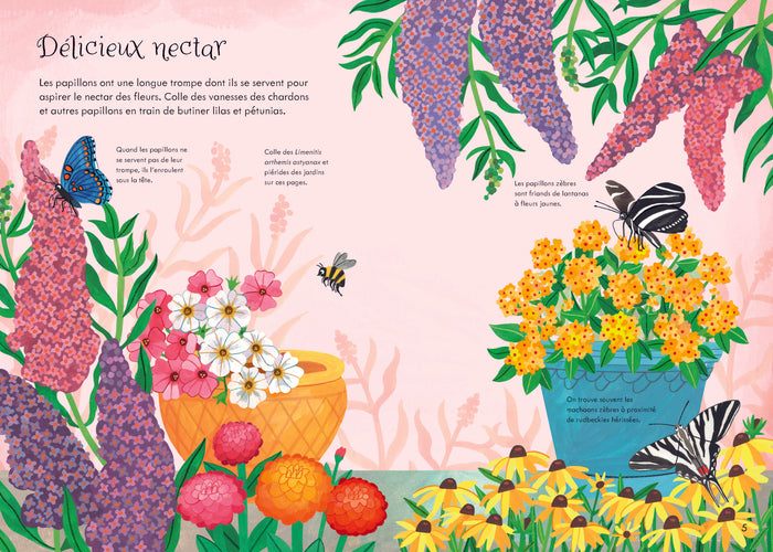 Les papillons - Mes petits autocollants