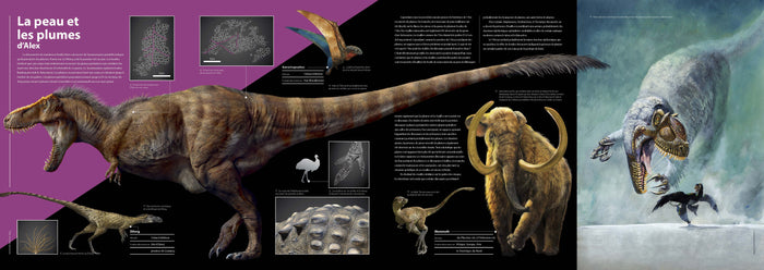 T-rex - Le roi des dinosaures - Nouvelle édition
