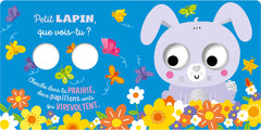 PETIT RENARD, QUE VOIS-TU ?