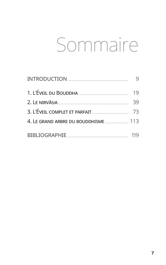 L'éveil dans le bouddhisme