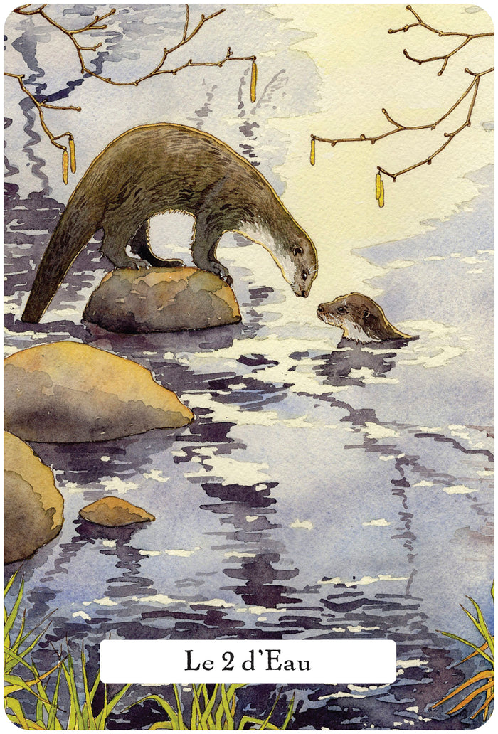 Le tarot de la sagesse des sorcières