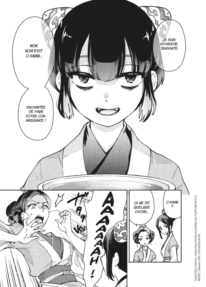 Le palais des assassins T01