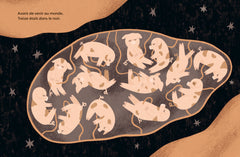 Le treizième cochonnet